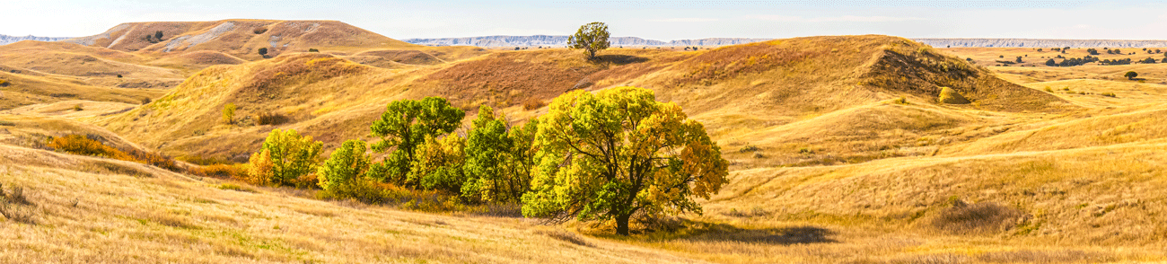 eStatement-Website-Header-Image-1-2025.png