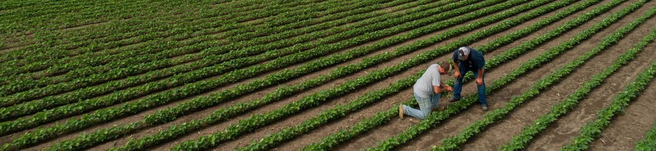 precision_ag.jpg